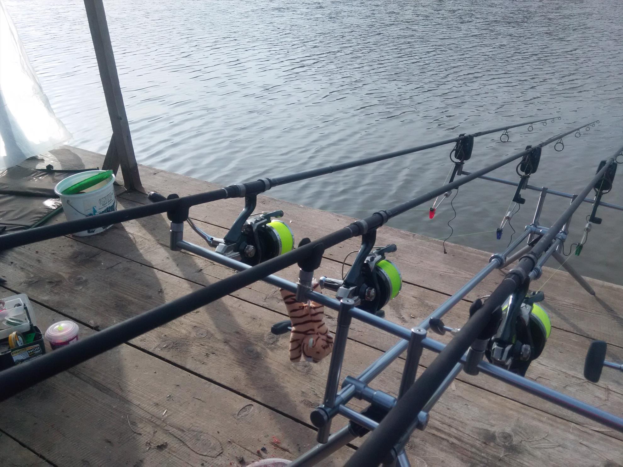 Magura 9 - 05/02/15 - img20150205150434.jpg